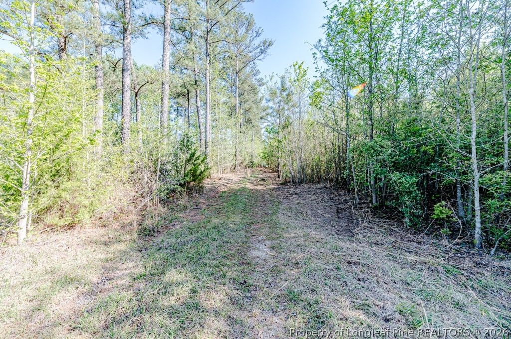 tbd (9 acres) NC 27 W, Lillington, NC 27546 — photo 19