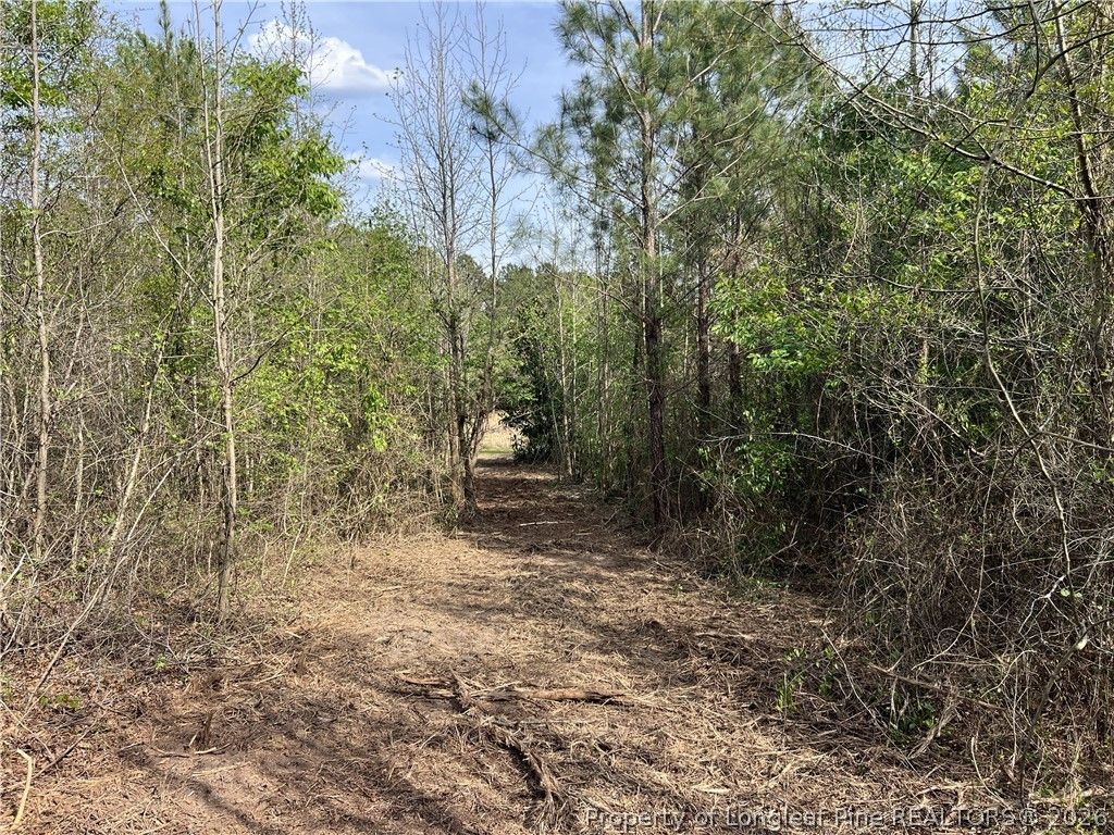 tbd (9 acres) NC 27 W, Lillington, NC 27546 — photo 20