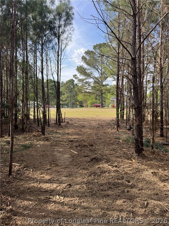 tbd (9 acres) NC 27 W, Lillington, NC 27546 — photo 21