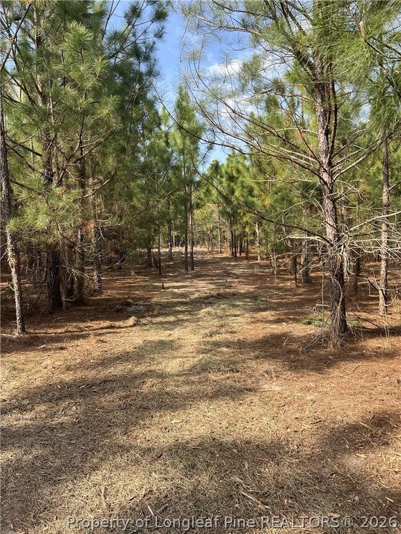 tbd (9 acres) NC 27 W, Lillington, NC 27546 — photo 22