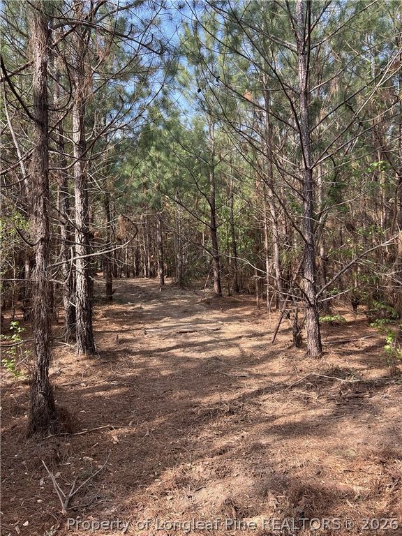 tbd (9 acres) NC 27 W, Lillington, NC 27546 — photo 23