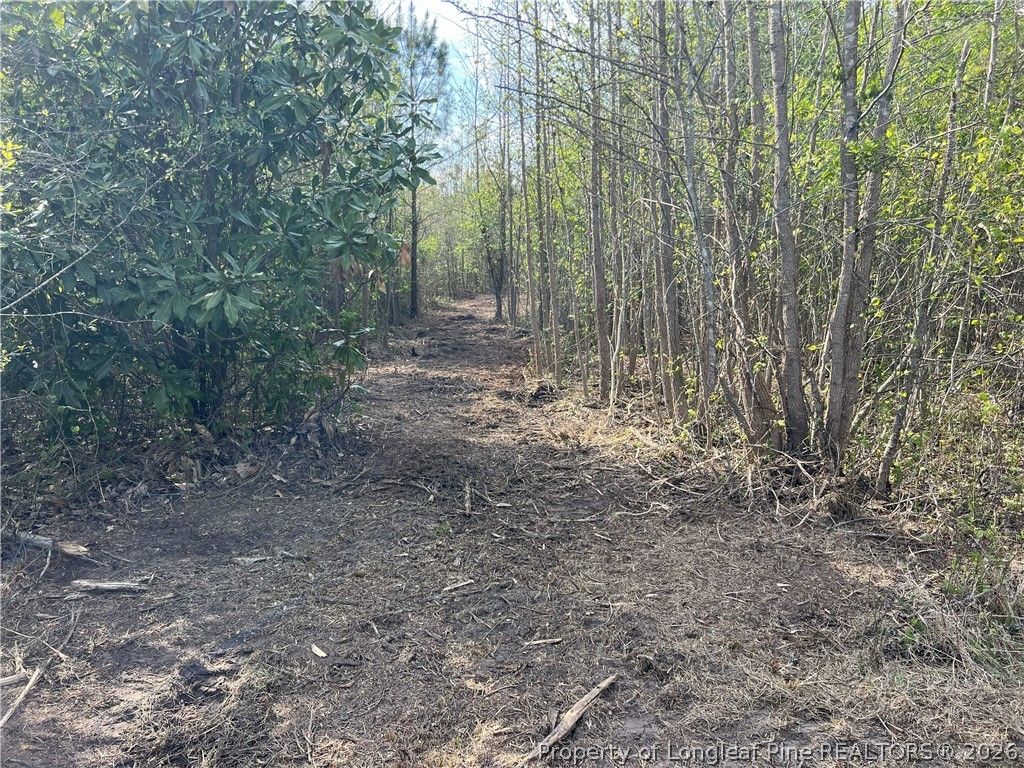 tbd (9 acres) NC 27 W, Lillington, NC 27546 — photo 24