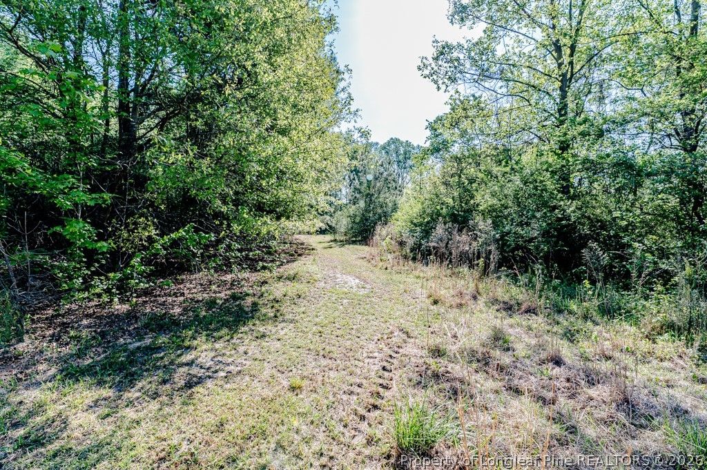 tbd (9 acres) NC 27 W, Lillington, NC 27546 — photo 25