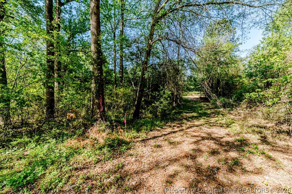 tbd (9 acres) NC 27 W, Lillington, NC 27546 — photo 29