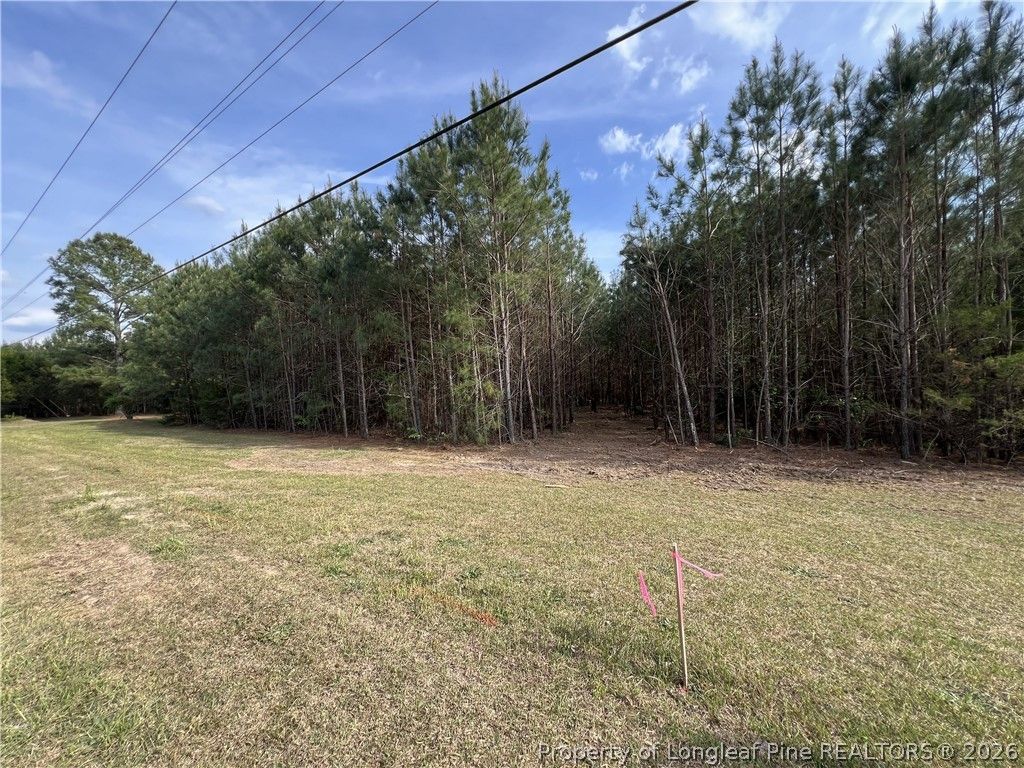 tbd (9 acres) NC 27 W, Lillington, NC 27546 — photo 31