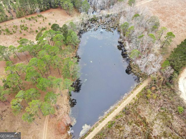 10544 Burkhalter Road, Statesboro, GA 30461