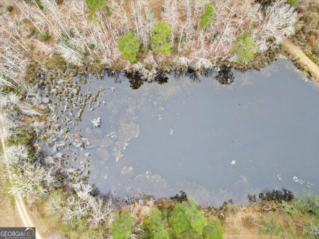 10544 Burkhalter Road, Statesboro, GA 30461