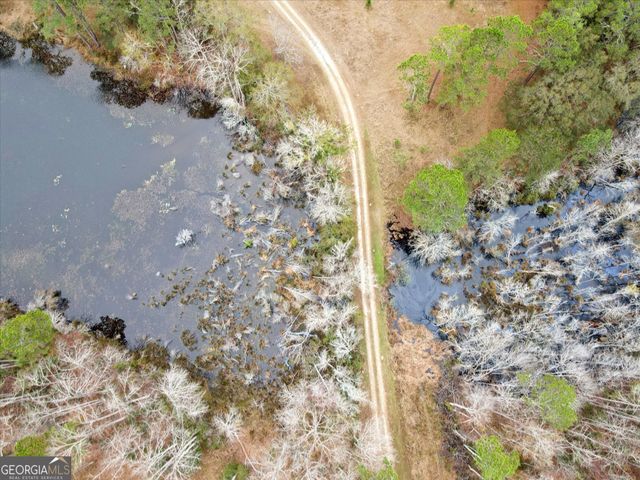 10544 Burkhalter Road, Statesboro, GA 30461