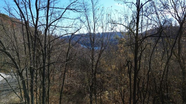 86 Blackberry Ridge Way, Smithville, TN 37166