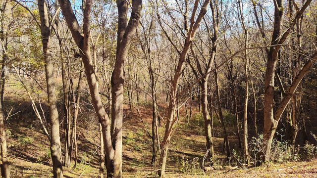 86 Blackberry Ridge Way, Smithville, TN 37166