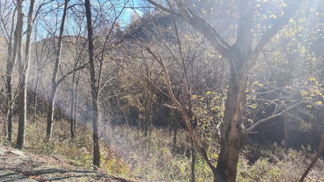 86 Blackberry Ridge Way, Smithville, TN 37166