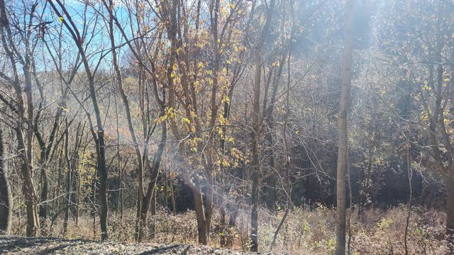 86 Blackberry Ridge Way, Smithville, TN 37166