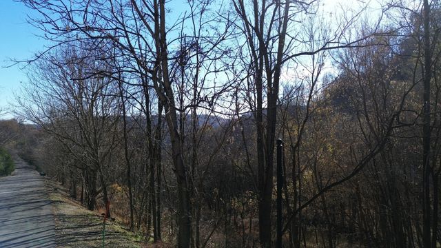 86 Blackberry Ridge Way, Smithville, TN 37166