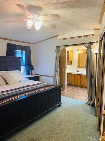 54 Windy Gap Loop, Empire, CO 80438