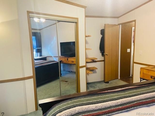 54 Windy Gap Loop, Empire, CO 80438