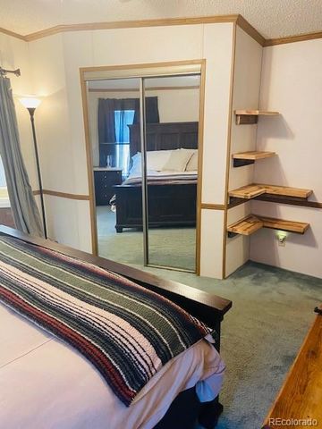 54 Windy Gap Loop, Empire, CO 80438