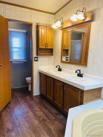 54 Windy Gap Loop, Empire, CO 80438