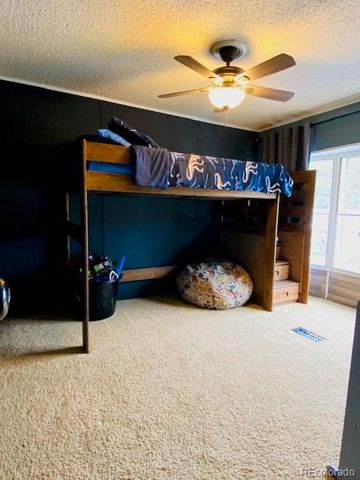 54 Windy Gap Loop, Empire, CO 80438