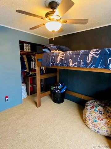 54 Windy Gap Loop, Empire, CO 80438