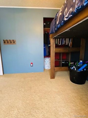 54 Windy Gap Loop, Empire, CO 80438