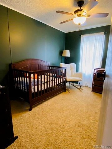 54 Windy Gap Loop, Empire, CO 80438