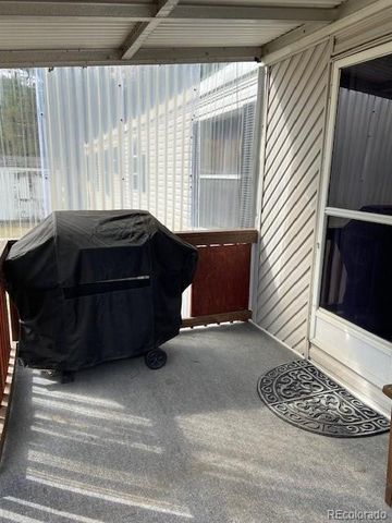 54 Windy Gap Loop, Empire, CO 80438