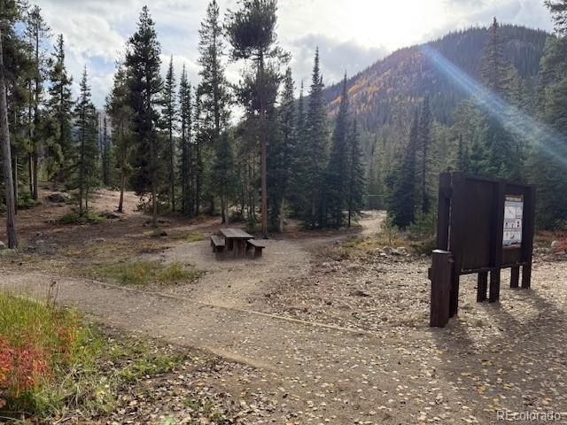 54 Windy Gap Loop, Empire, CO 80438