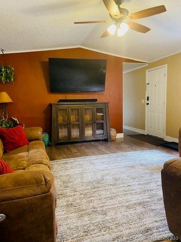 54 Windy Gap Loop, Empire, CO 80438