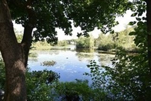 4D Forge Pond D, Canton, MA 02021