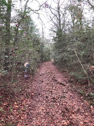 128 Lincoln Drive, Streetman, TX 75859