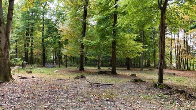 1496 Methodist Rd, Salem Twp, PA 16125