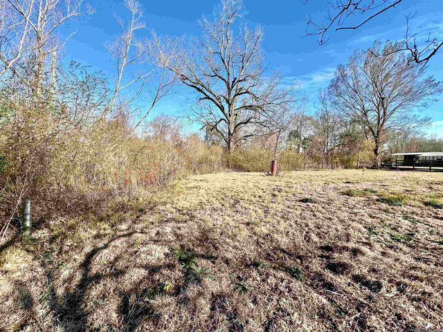 14126 Roddy Rd, Gonzales, LA 70737