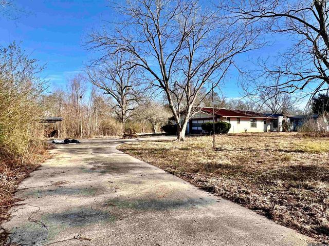 14126 Roddy Rd, Gonzales, LA 70737