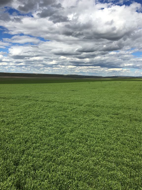 UKN Flat Creek Road, Geraldine, MT 59446 photo 10