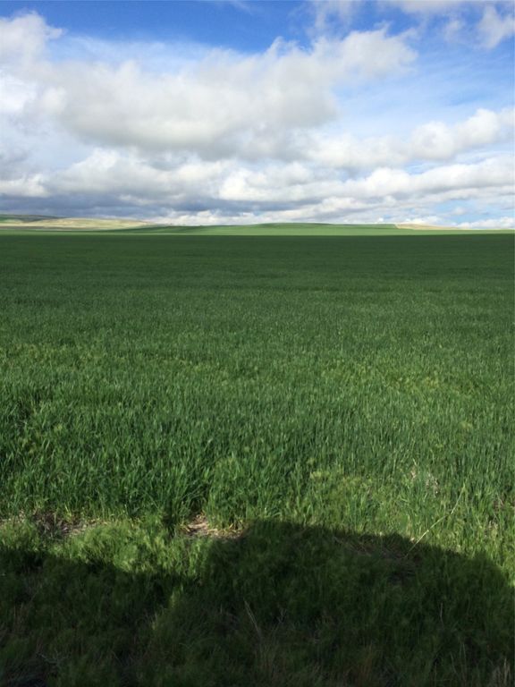 UKN Flat Creek Road, Geraldine, MT 59446 photo 5
