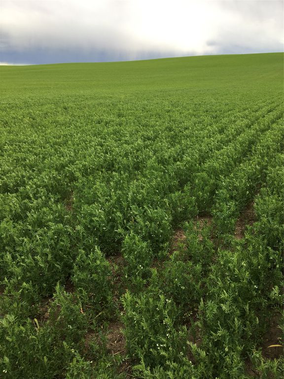 UKN Flat Creek Road, Geraldine, MT 59446 photo 6