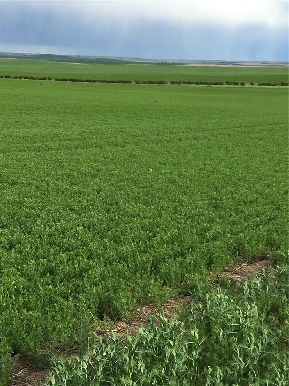 UKN Flat Creek Road, Geraldine, MT 59446 photo 7