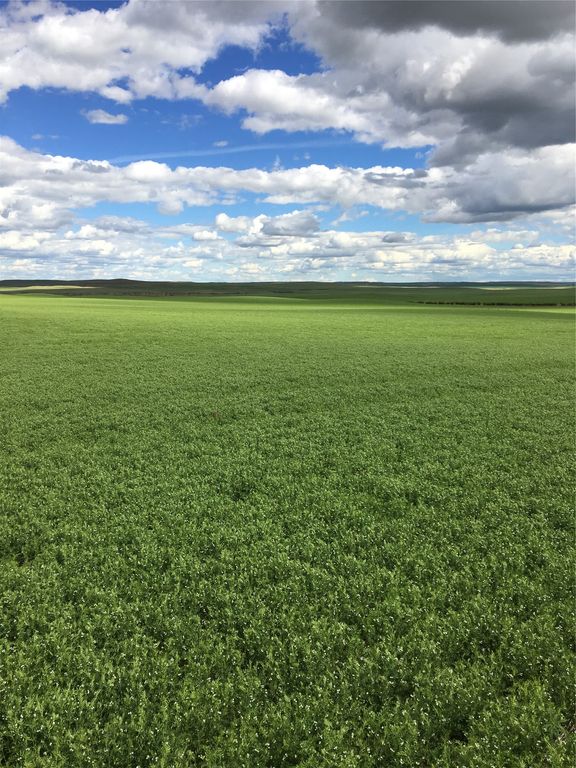 UKN Flat Creek Road, Geraldine, MT 59446 photo 9