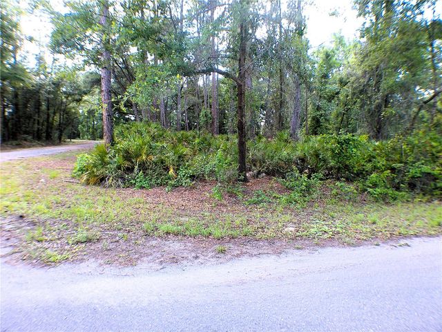 SEQUOIA DRIVE, Ocklawaha, FL 32179