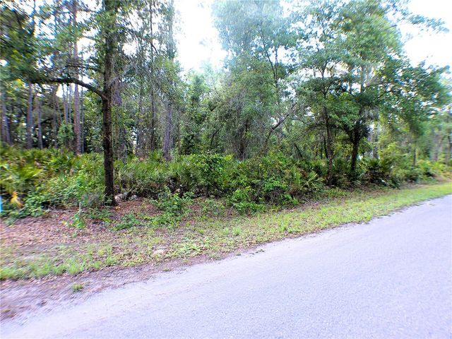 SEQUOIA DRIVE, Ocklawaha, FL 32179