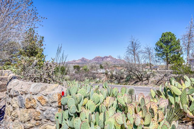 5237 Chiricahua Trail, Las Cruces, NM 88012