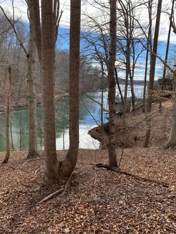 Lot 13 Little Creek RD, Moneta, VA 24121