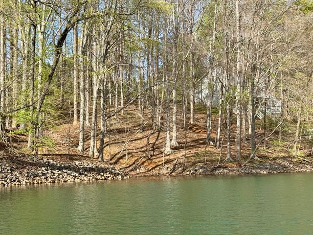 Lot 13 Little Creek RD, Moneta, VA 24121