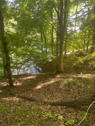 Lot 13 Little Creek RD, Moneta, VA 24121