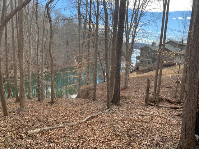 Lot 13 Little Creek RD, Moneta, VA 24121