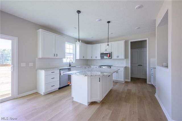 8010 Echo Hill Manor Drive, Mentor, OH 44060