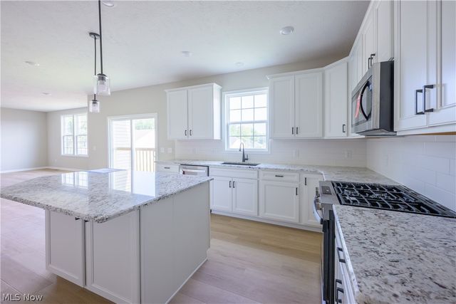 8010 Echo Hill Manor Drive, Mentor, OH 44060