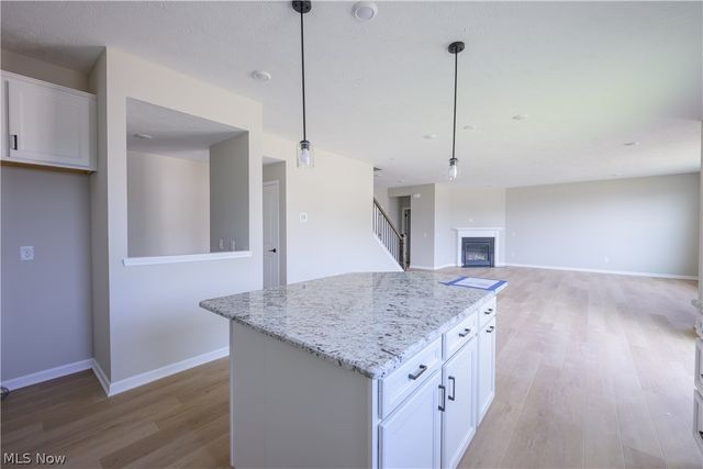 8010 Echo Hill Manor Drive, Mentor, OH 44060