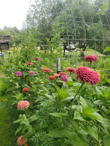 7625 Teal Road, Woodbury, MN 55125