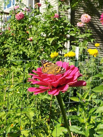 7625 Teal Road, Woodbury, MN 55125